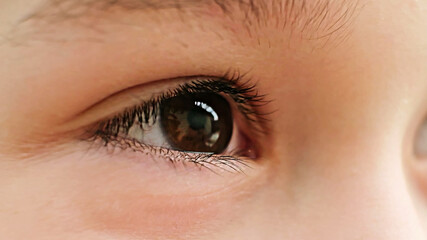Obraz premium shot of brown eyes of a child. close up view, soft focus.