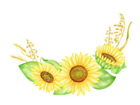 Sunflower arrangement with spikelets and leaves. Hand drawn watercolor floral illustration. Bunch of yellow autumn flowers isolated on white background. Botanical border frame painting.