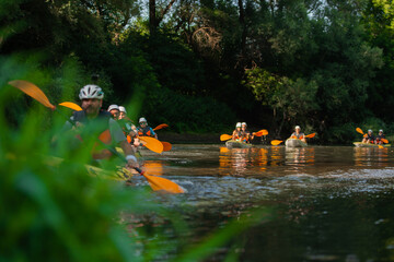 Following the leader