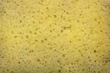 close-up on dirty yellow sponge, Sponge texture background
