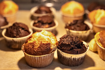 Baking vanilla and chocolate cupcakes in the oven