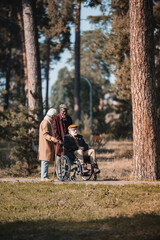 Interracial senior men walking near friend in wheelchair in autumn park