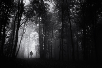 man lost in forest at night, scary dark landscape
