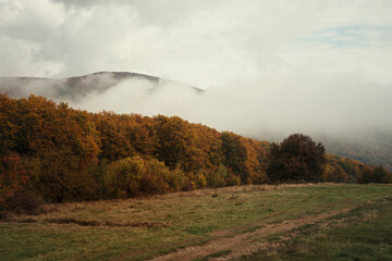 Naklejka na ściany i meble fog rising from the forest, autumn fantasy landscape