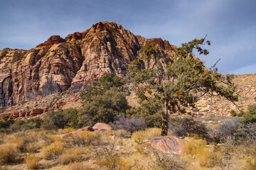 Pine Creek Canyon Loop Trail, Nevada