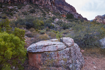 Pine Creek Canyon Loop Trail, Nevada