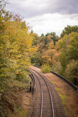 Fototapeta na wymiar chemin de fer traversant une forêt