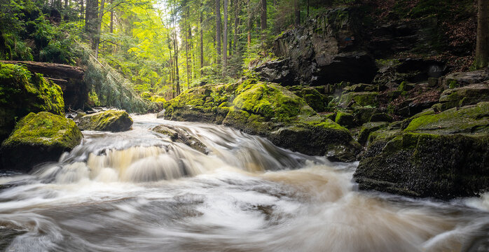 river rapids in the forest, Doubrava river valley near Chotebor, Czech republic