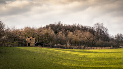 Paysage d'une clairière au soleil couchant