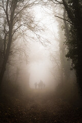 Silhouette d'une famille se promenant dans la foret brumeuse