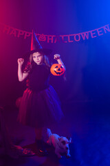 Funny child girl in witch costume for Halloween with pumpkin Jack and dog.