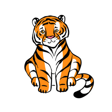 Little tiger cub, vector drawing on a white background.
