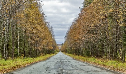 road in autumn