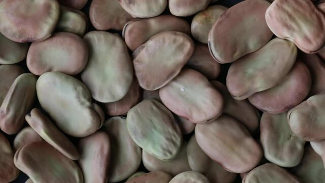 Pile of dry Faba or Fava Bean Surface Texture Top View Close up. Pattern Background, Rotation video footage