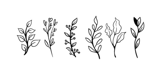 Hand drawn floral elements (laurels, leaves, flowers and branches). Wild and free. For invitations, greeting cards, Wedding Frames, posters. Nature ornaments.