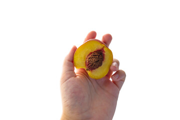 hand holding an half of peach isolated