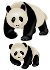 パンダのイラスト。アイコンセット。