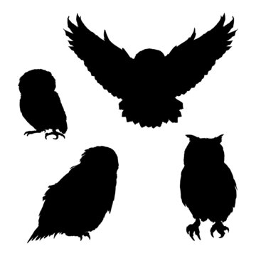 Vector Set of Owl Silhouette Illustrations.