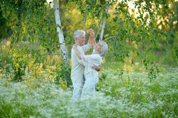 Portrait of beautiful senior couple dancing in summer park