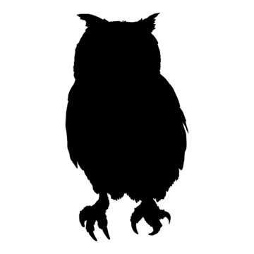 Owl Black Silhouette White Background