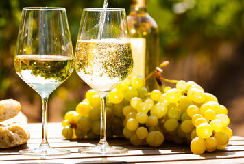 glass of White wine ripe grapes and bread on table in vineyard