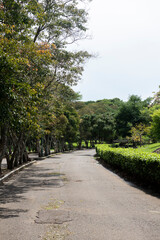 Fototapeta na wymiar Paths with green corridors in La Sabana park. San Jose, Costa Rica. 
