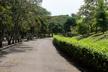 Fototapeta na wymiar Paths with green corridors in La Sabana park. San Jose, Costa Rica. 