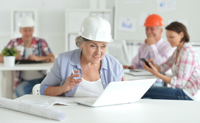 Portrait of group of business people, architects working