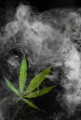 Cannabis leaf with cannabis smoke on a black background. Illegal Marijuana drug.