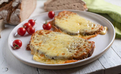 Oven roasted bread with cheese on a plate. Made with old sourdough bread and irish organic cheese