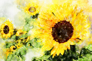 Sunflowerfield. Paint of Sunflower heads in watercolors.
