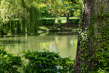 Scenic view on lake Schachtsee in Bad Friedrichshall Jagstfeld, Germany in green natural environment in summer. Tranquil lake scene with trees