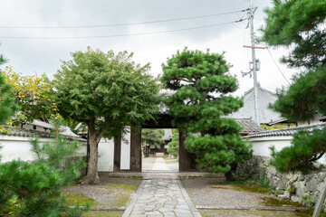Obraz premium 聖衆来迎寺