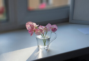 A small bouquet of pink sweet pea flowers in a transparent glass glass, an empty white sheet and a poster frame on a light window sill against the background of the window.