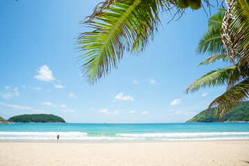 Naklejka na ściany i meble Coconut trees on beach on island blue sky and clouds background..