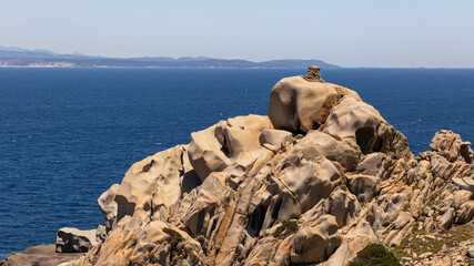 Sardinien, ein Traum im Mittelmeer