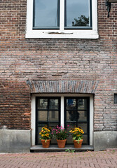 Fototapeta na wymiar old window with flowers 