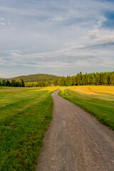 Herbstliche Entdeckungstour durch den Thüringer Wald bei Steinbach-Hallenberg - Thüringen