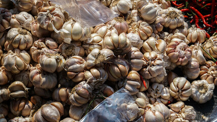 Garlic collection in traditional markets