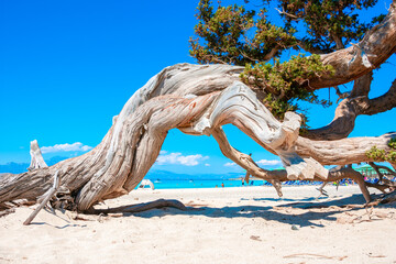 Exotic Chryssi island at the south of Crete, with the amazing Golden Beach, Greece © gatsi