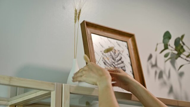 Woman hand is arranging the office and putting a plant vase on bookshelf