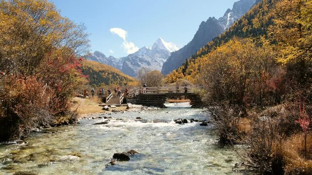 Stream flowing with wooden bridge and holy mountain in autumn pine forest