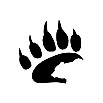 Drawing of a bear's paw