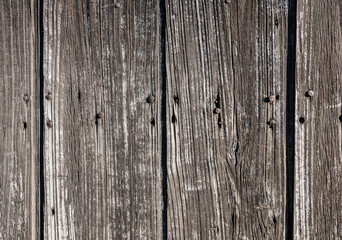 Old wood texture background with rusted nails. Detail of rustic door.