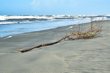 Naturaleza y paisaje de playa
