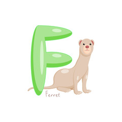 Letter F. Children's alphabet, cute ferret. Vector illustration for learning English.