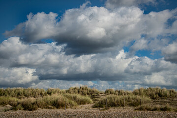 Sand dunes and grasses against a cloudy blue sky on a bright day