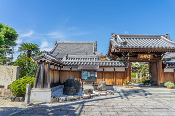 Fototapeta premium 菊泉院