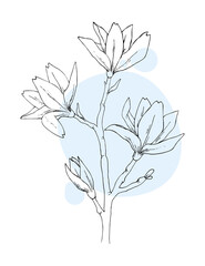 hand drawn sketch black and white leaves flower