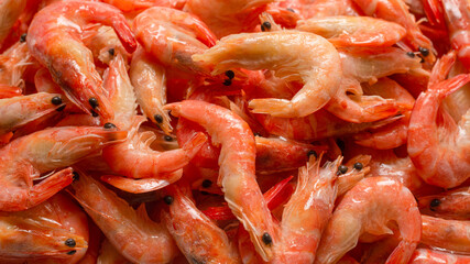 Shrimps background texture. A lot of shrimps. Cooked shrimps.